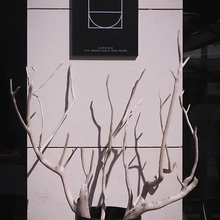 Unique Boutique Antibes ז'ואן-לה-פינס